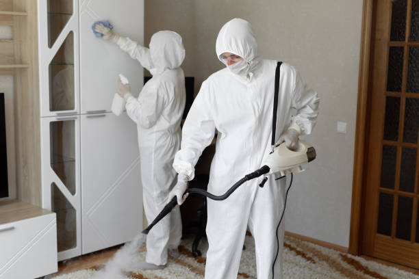 Best Professional Mold Removal  in Emory, VA