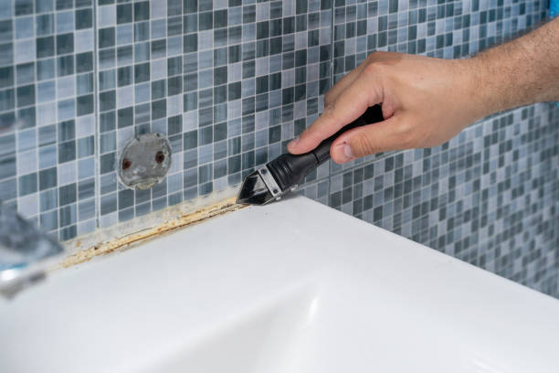 Best Local Mold Removal Service  in Emory, VA