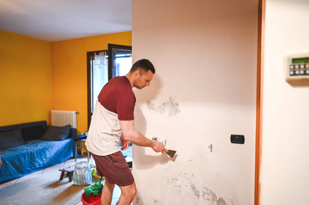 Mold Removal and Inspection in Emory, VA