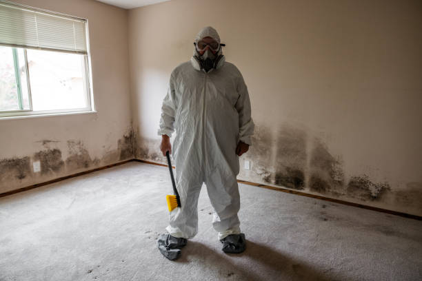 Best Fast Mold Removal  in Emory, VA